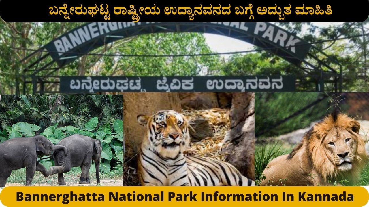 Bannerghatta National Park Information In Kannada 