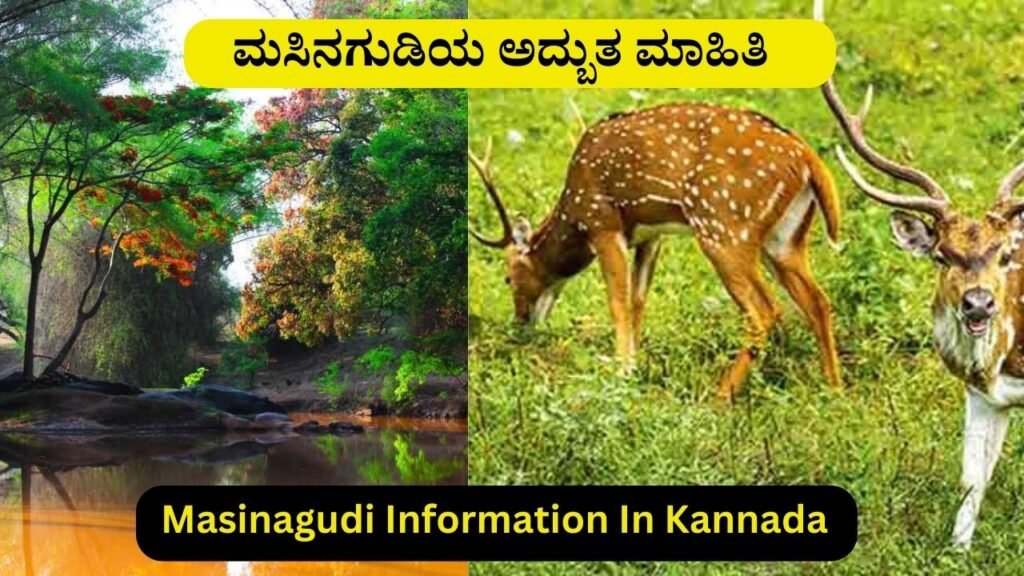 Masinagudi Information In Kannada