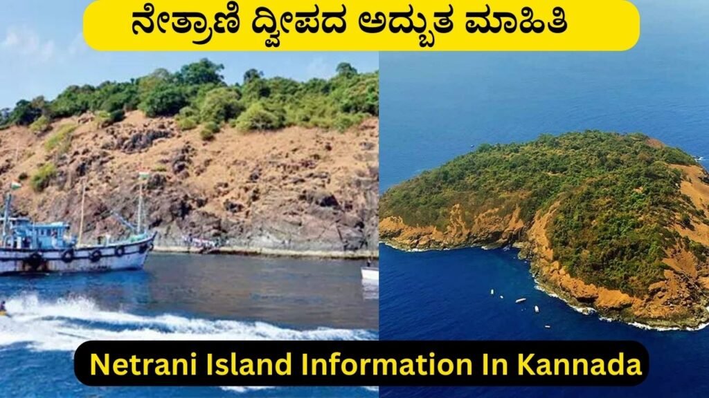  Netrani Island Information In Kannada 