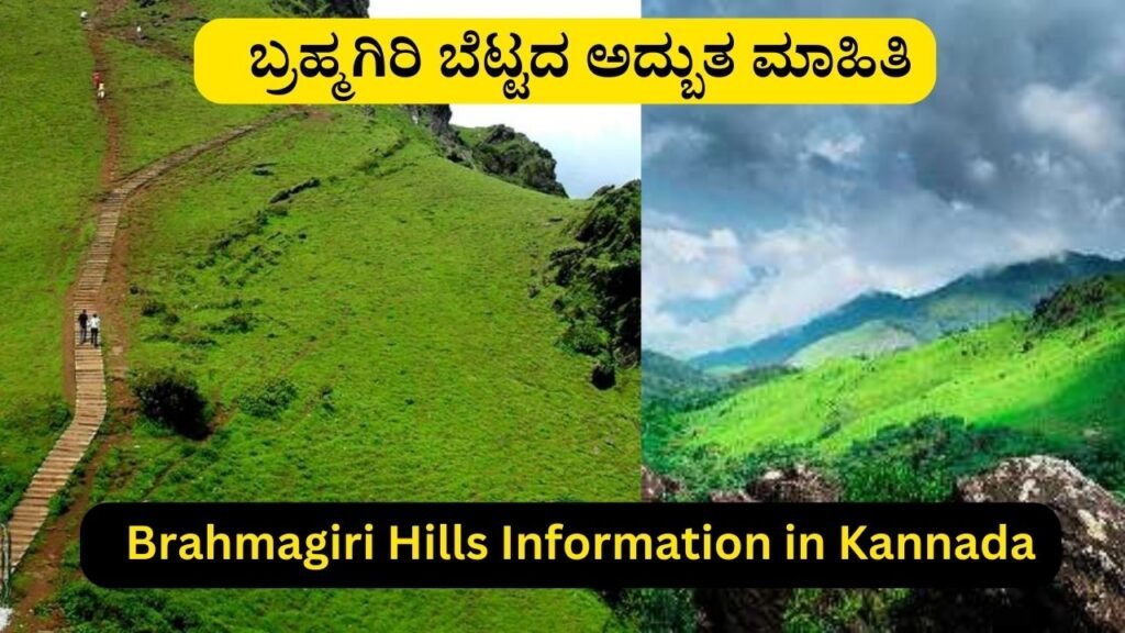 Brahmagiri Hills Information in Kannada